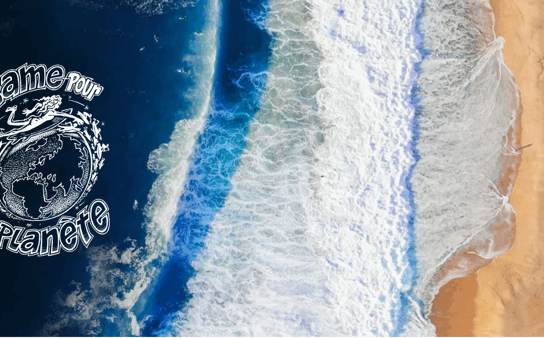 Les surfeurs rament pour la planète… et vous invitent à les rejoindre !