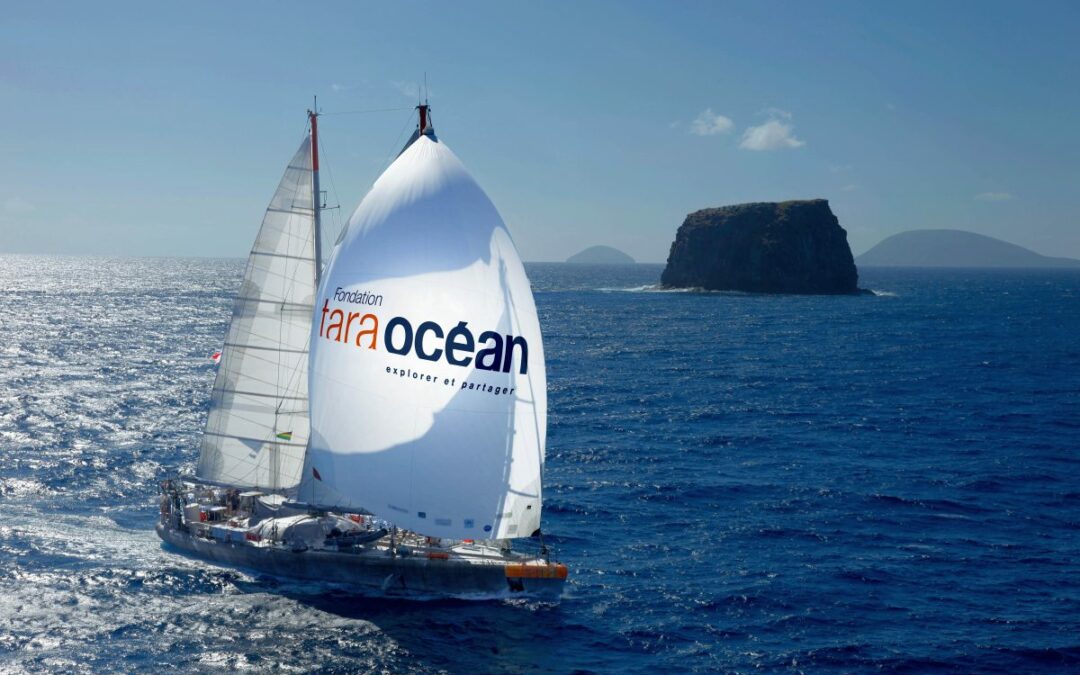 Tara Océan : des expéditions scientifiques exceptionnelles pour explorer les enjeux liés à l’océan !