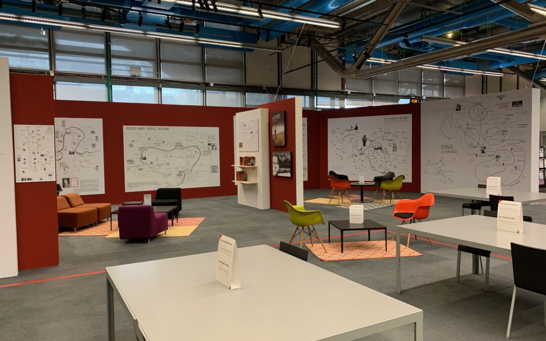 La bibliothèque Chimurenga à Paris