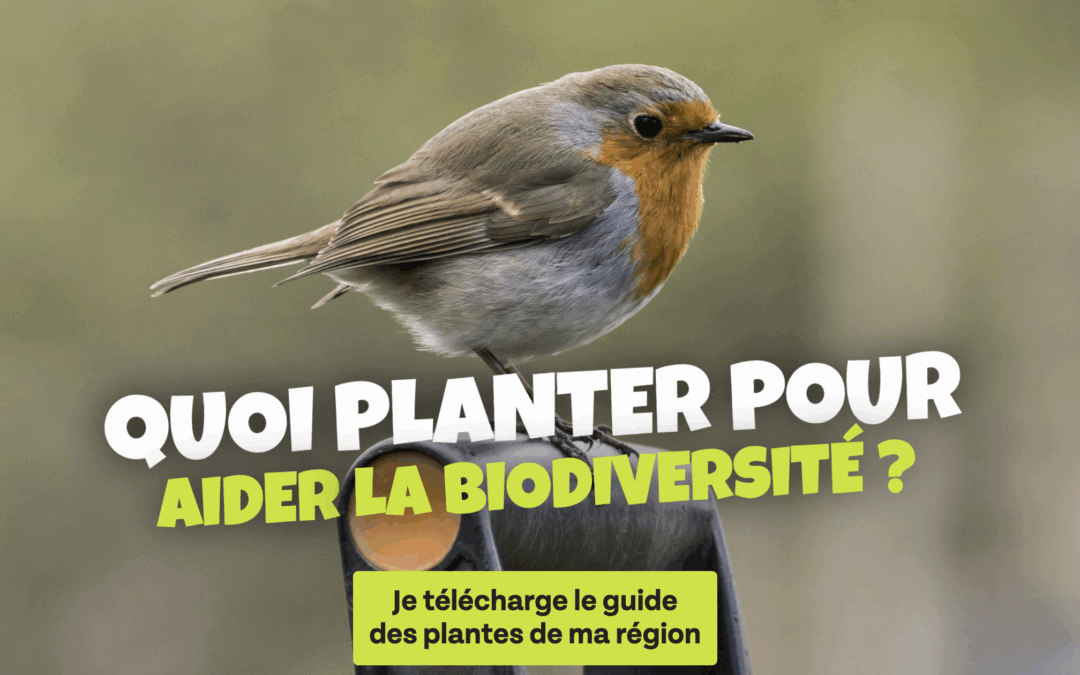 Le guide des plantes de votre région et ses conseils de pros pour bouturer. À télécharger gratuitement !