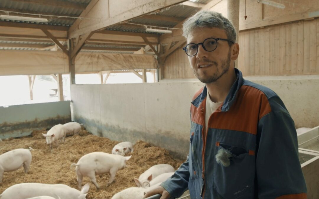 Sur la paille (documentaire)
