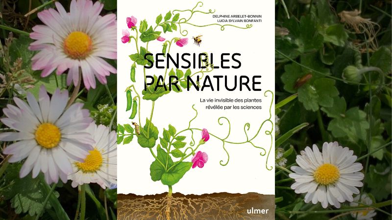 Sensibles par nature image à la une (800 x 450 px) (3)